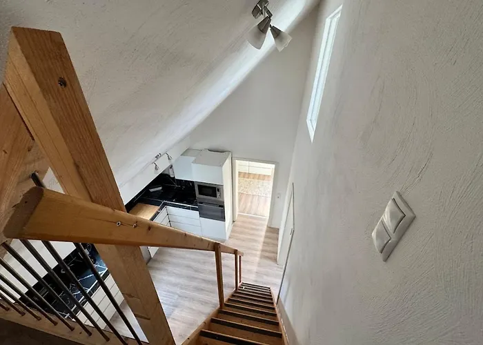 Sunshine * 카이저슬라우테른