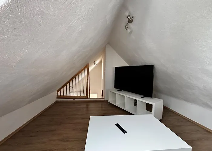 Sunshine * 카이저슬라우테른